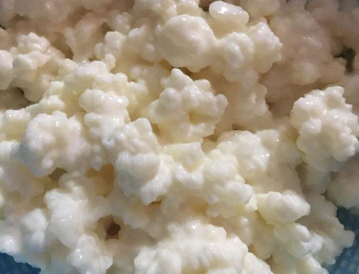 Alla scoperta del Kefir