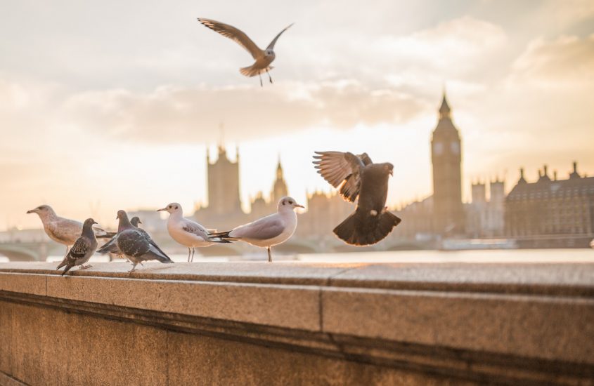 Una passeggiata per Londra