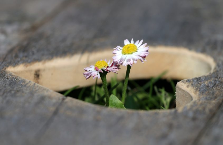 Accogliere a cuore aperto