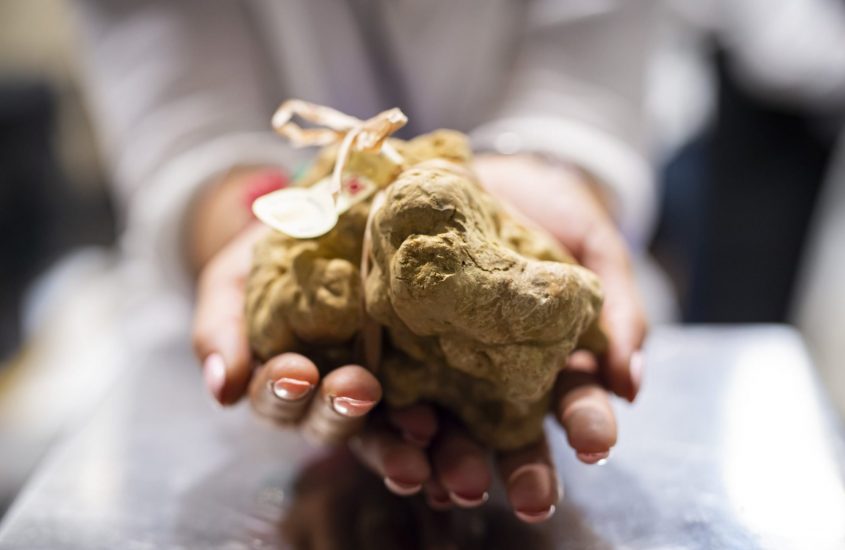 Tartufo Bianco d’Alba: il giro del mondo in 90 anni
