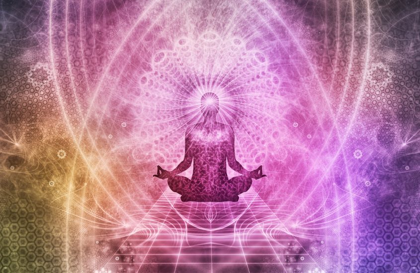 La Bioenergetica