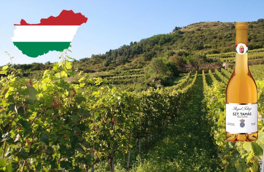 Nuovi orizzonti enologici: i vini ungheresi