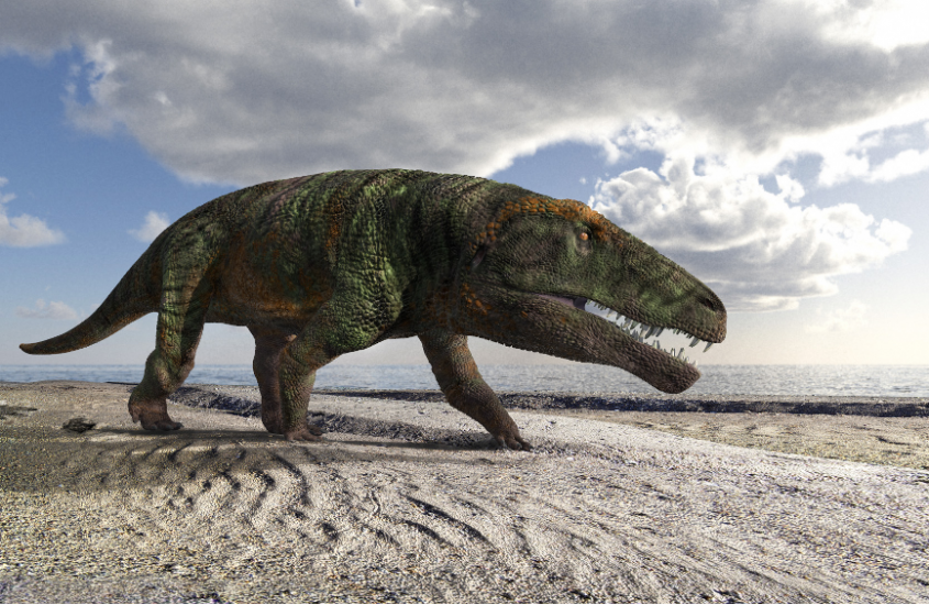 Orme fossili di grandi rettili sulle Alpi Occidentali