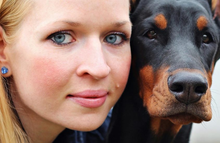 L’attaccamento dei cani simile a quello dei bambini verso i genitori