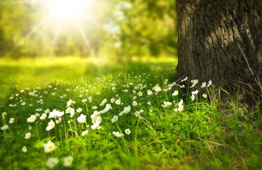 Luce al colore d’albume? Non in primavera