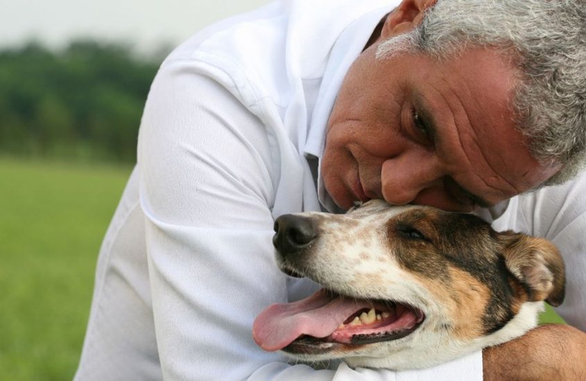 L’italia Vip che ama gli animali