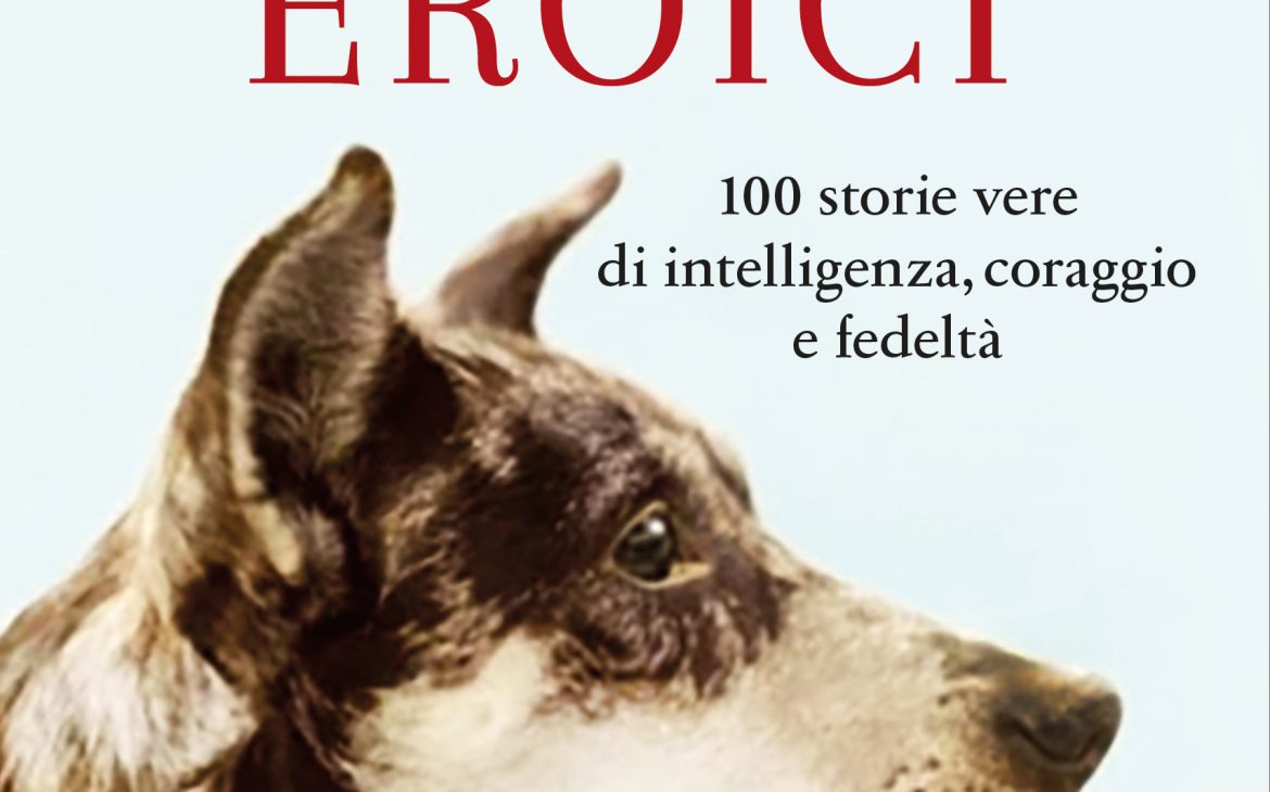 Animali eroici. 100 storie vere di intelligenza, coraggio e fedeltà - Clare  Balding - Libro - TRE60 - Varia TRE60