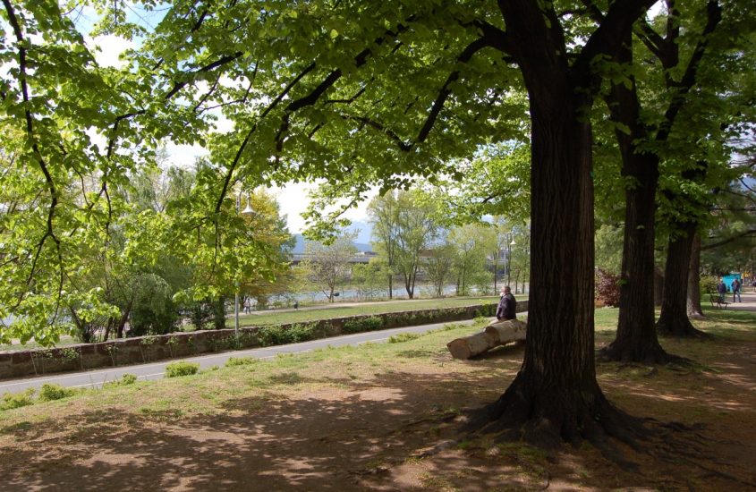 Un nuovo Parco Bioenergetico nel cuore di Bolzano