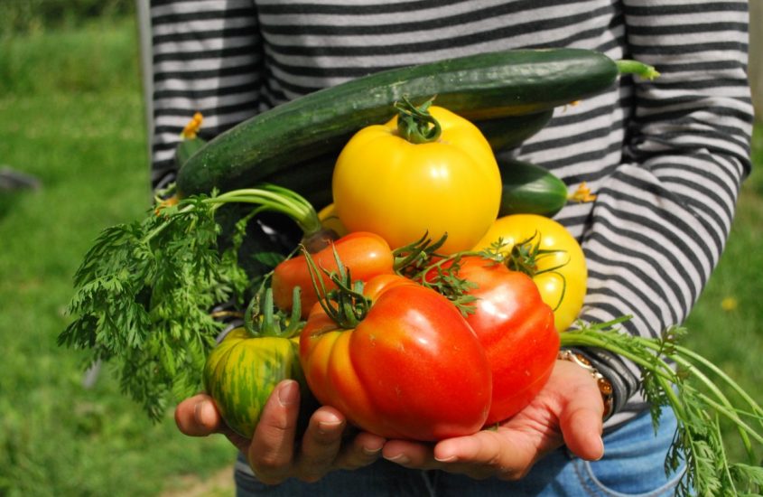 Giovani sportivi e nutrizione