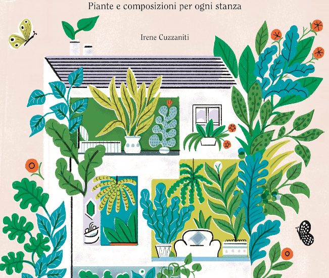 La Casa Verde, piante e composizioni per ogni stanza