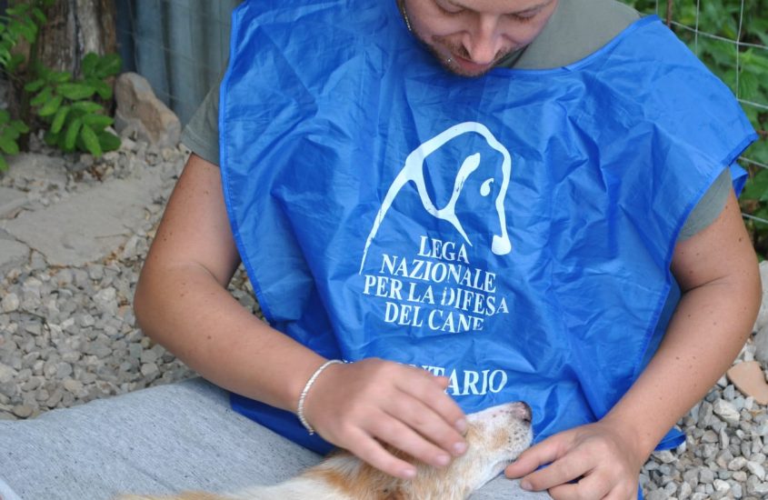 “Sos Agosto”: Lndc e Zampy Life insieme per proteggerli