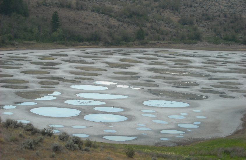 Spotted Lake: un lago quasi marziano