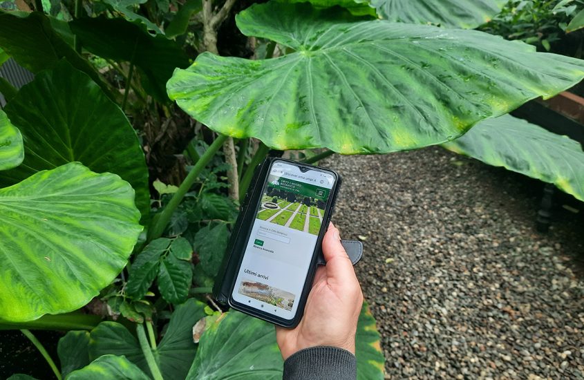 Orto Botanico di Pisa, il suo patrimonio di piante in consultazione virtuale