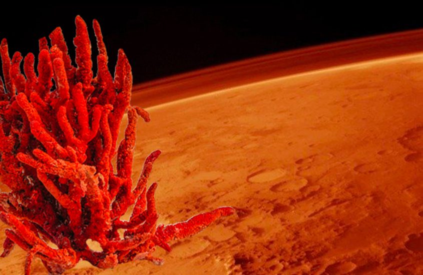 Marte e il corallo