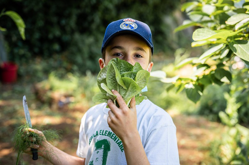 Orti Slow Food a scuola: 100 nuove classi in Italia