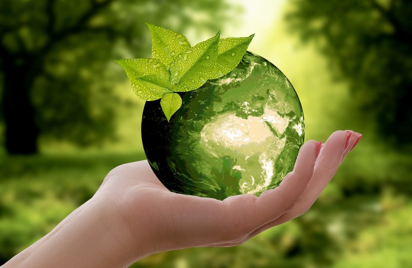 Voglio un pianeta così: la campagna di sensibilizzazione del Parlamento europeo sui temi ambientali