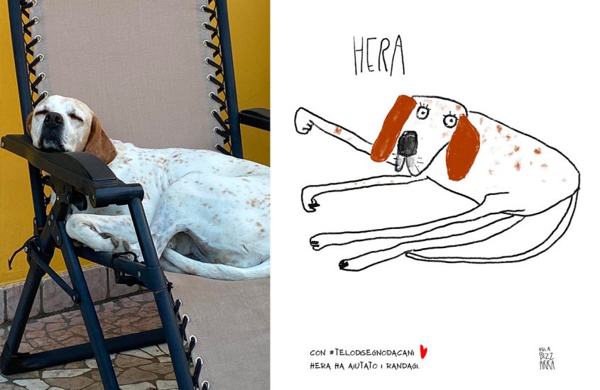 Te lo disegno da cani