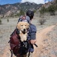 Man With Blue and Maroon Camping Bag